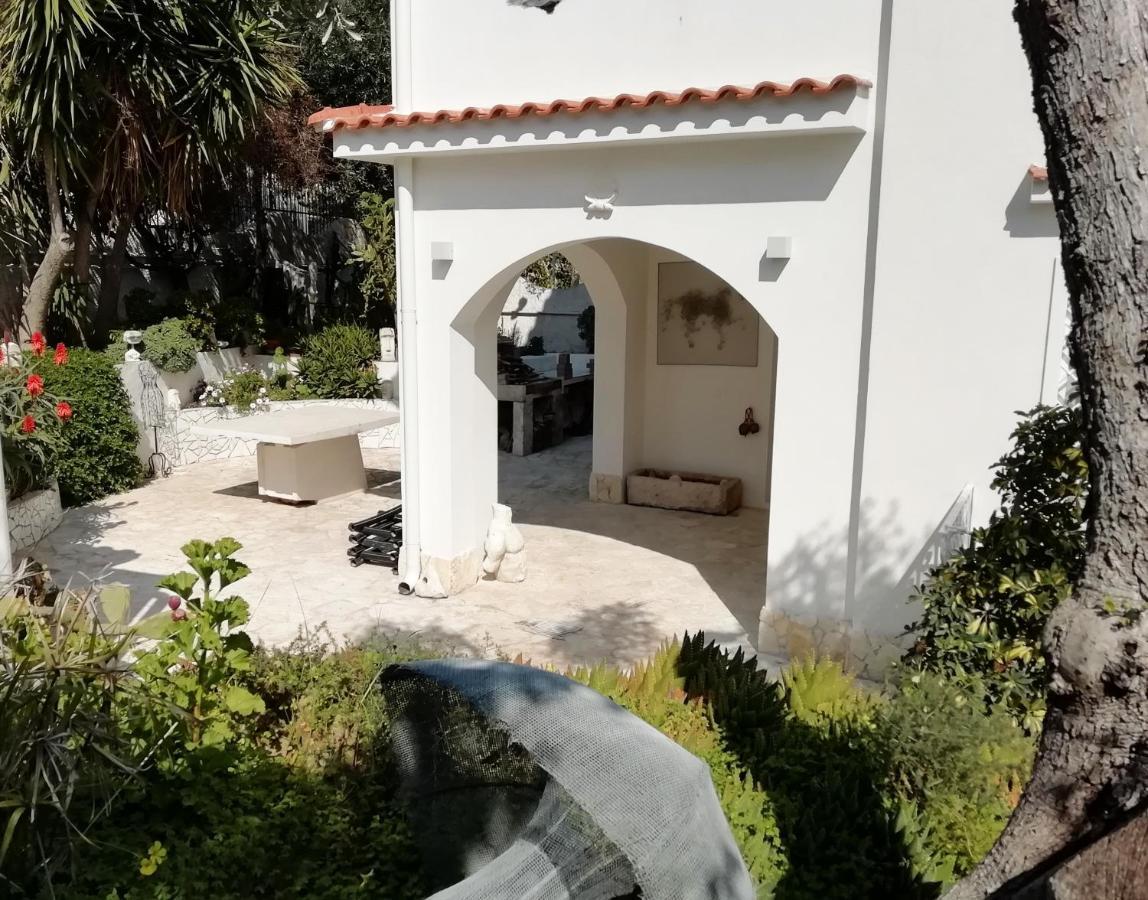 B&B L'Altare Bianco Vieste Exterior photo