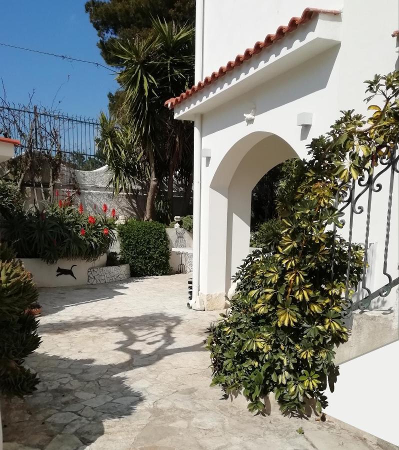 B&B L'Altare Bianco Vieste Exterior photo