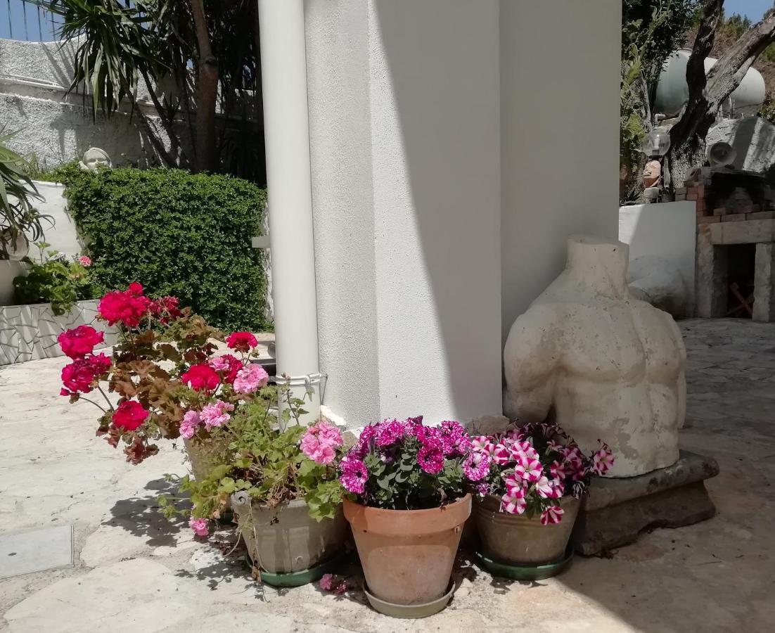 B&B L'Altare Bianco Vieste Exterior photo